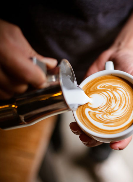 Barista courses Shop Dolor